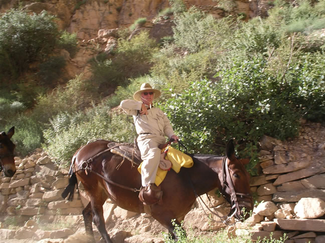 images/B- Mule Ride, riding down in to Grand Canyon (7).jpg